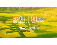 热烈庆祝华润（集团）有限公司选择我司的网建服务